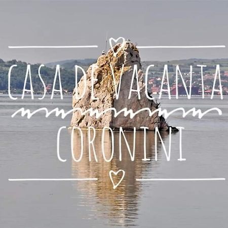 Casa De Vacanta Danube Moldova Noua Esterno foto